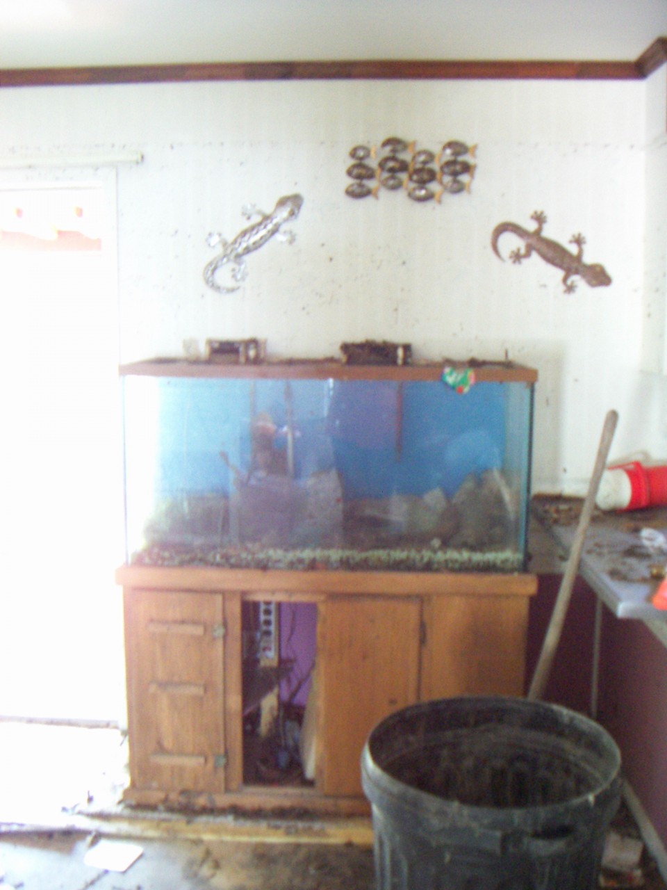 PICT0010.JPG