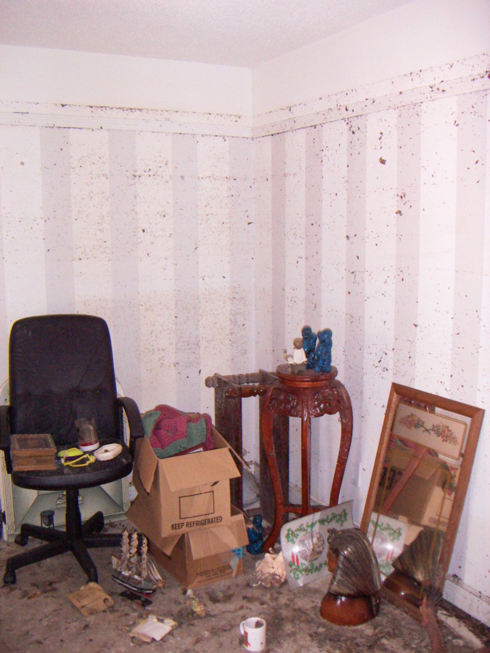 PICT0012.JPG