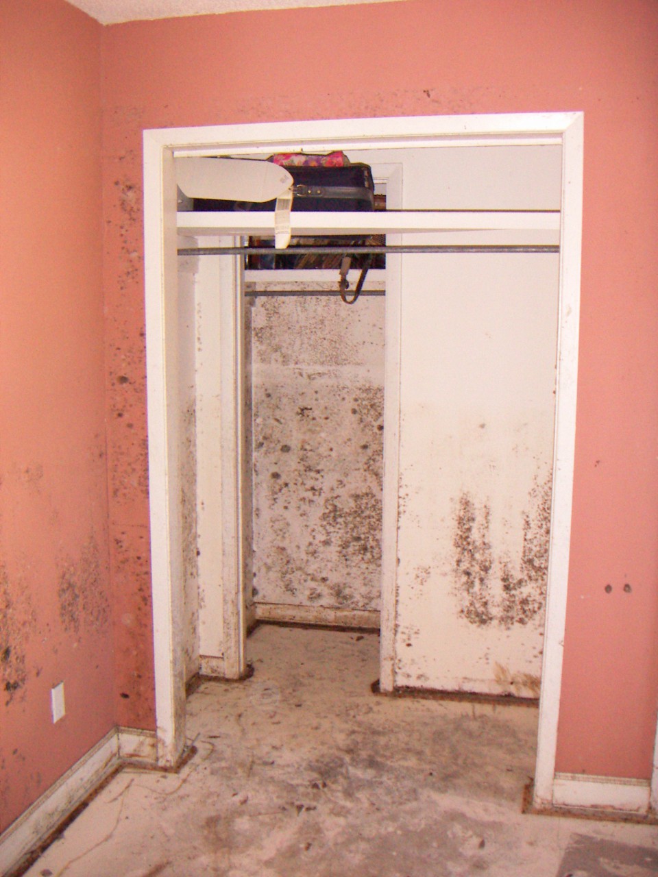PICT0016.JPG