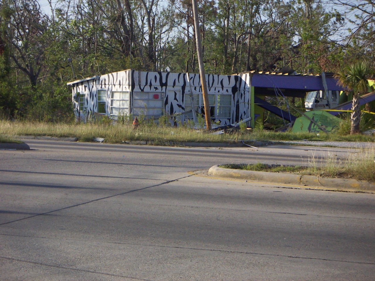 PICT0050.JPG