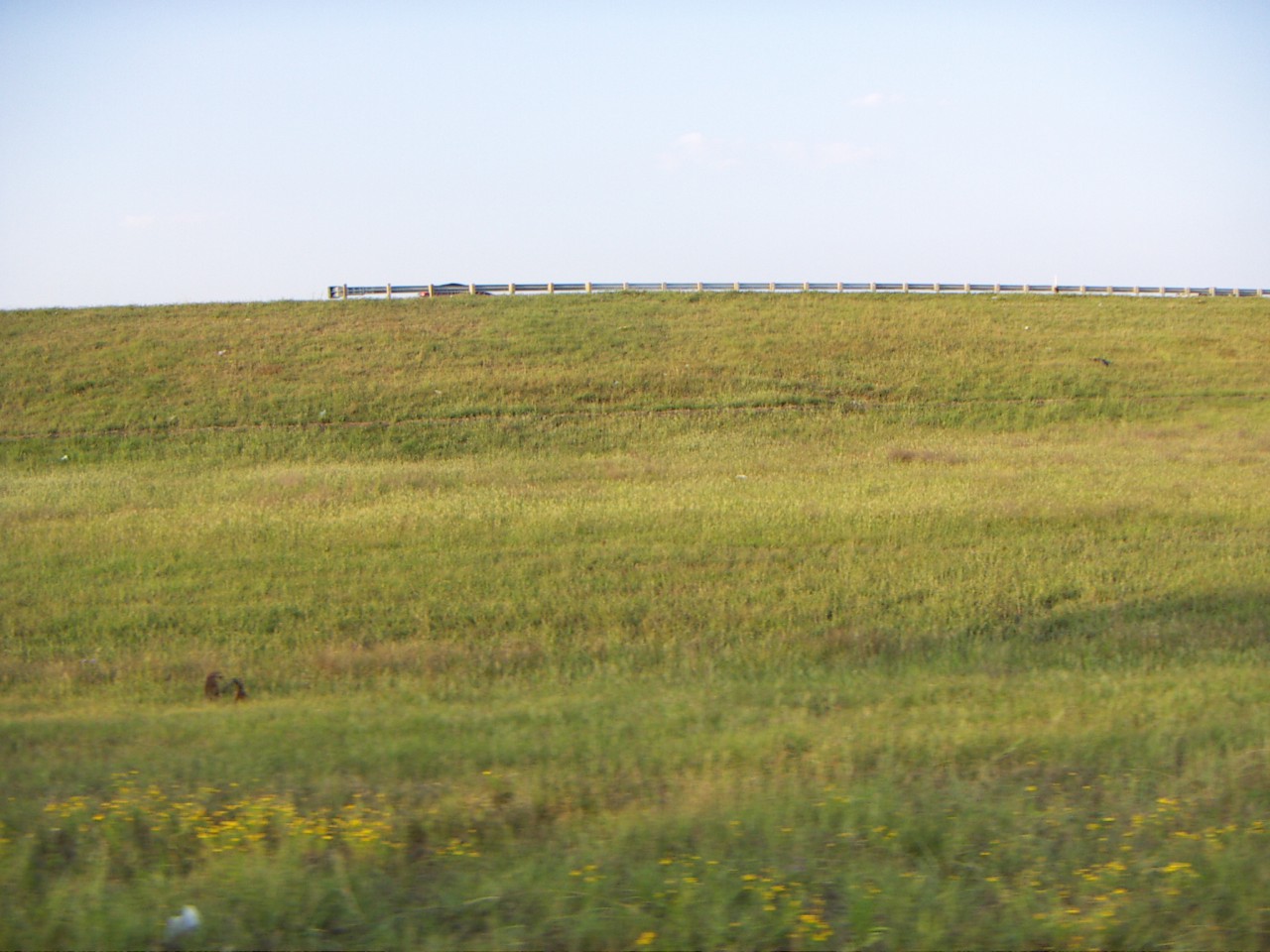 PICT0094.JPG