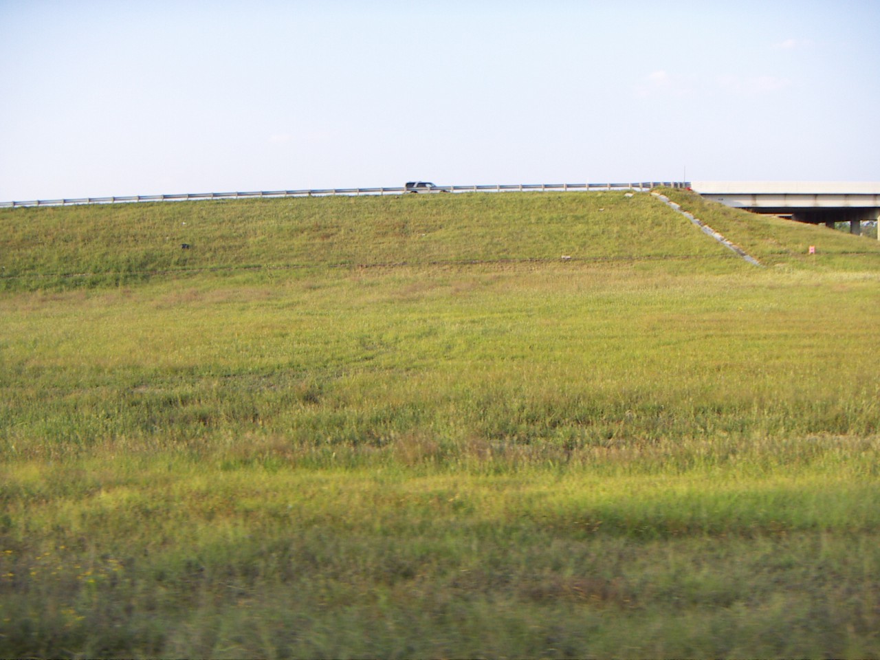 PICT0095.JPG