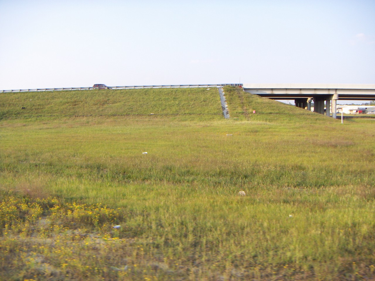 PICT0096.JPG