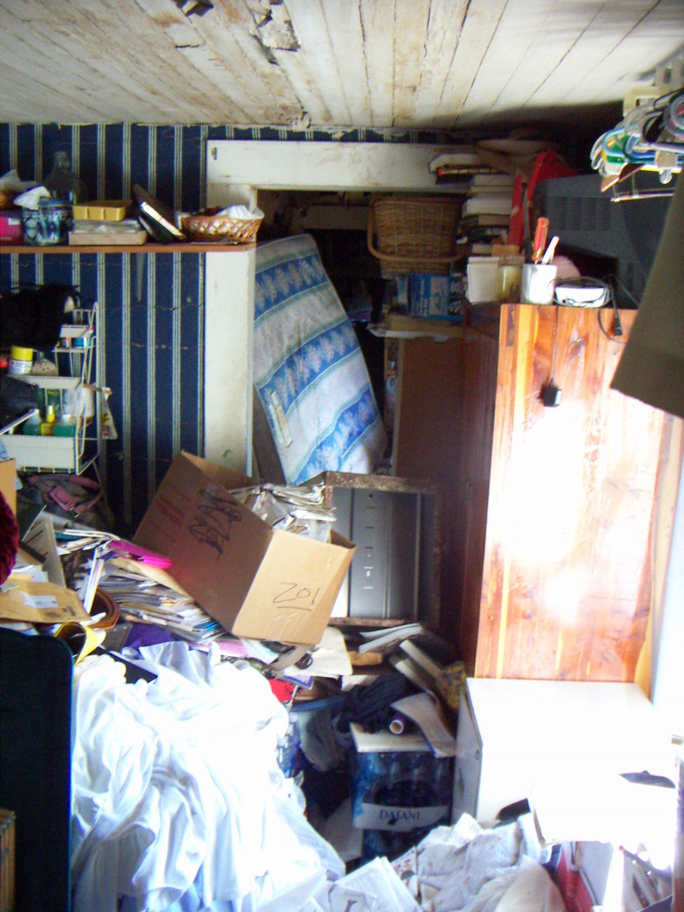 PICT0142.JPG
