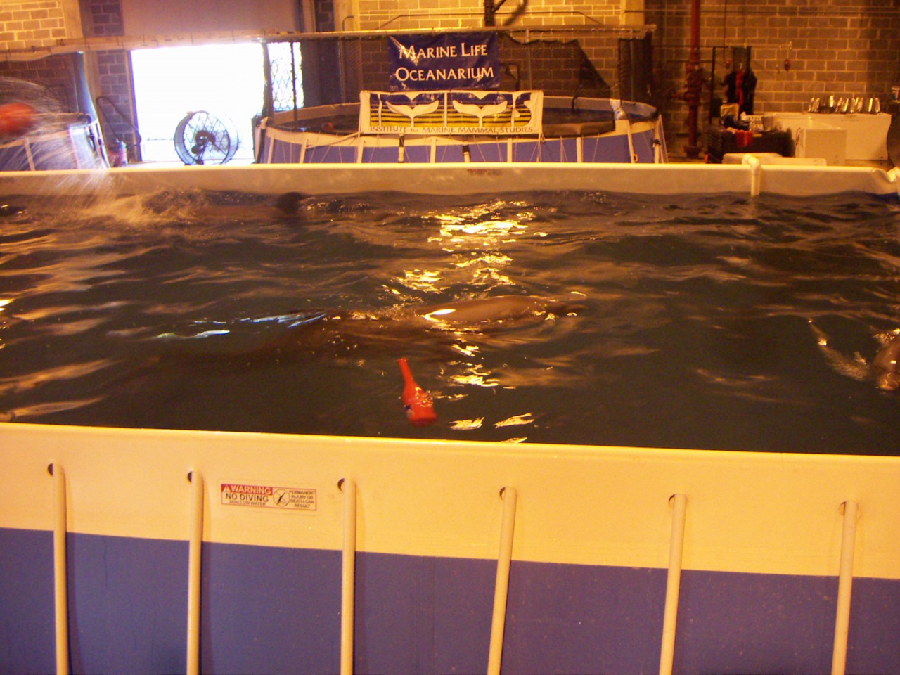 PICT0167.JPG