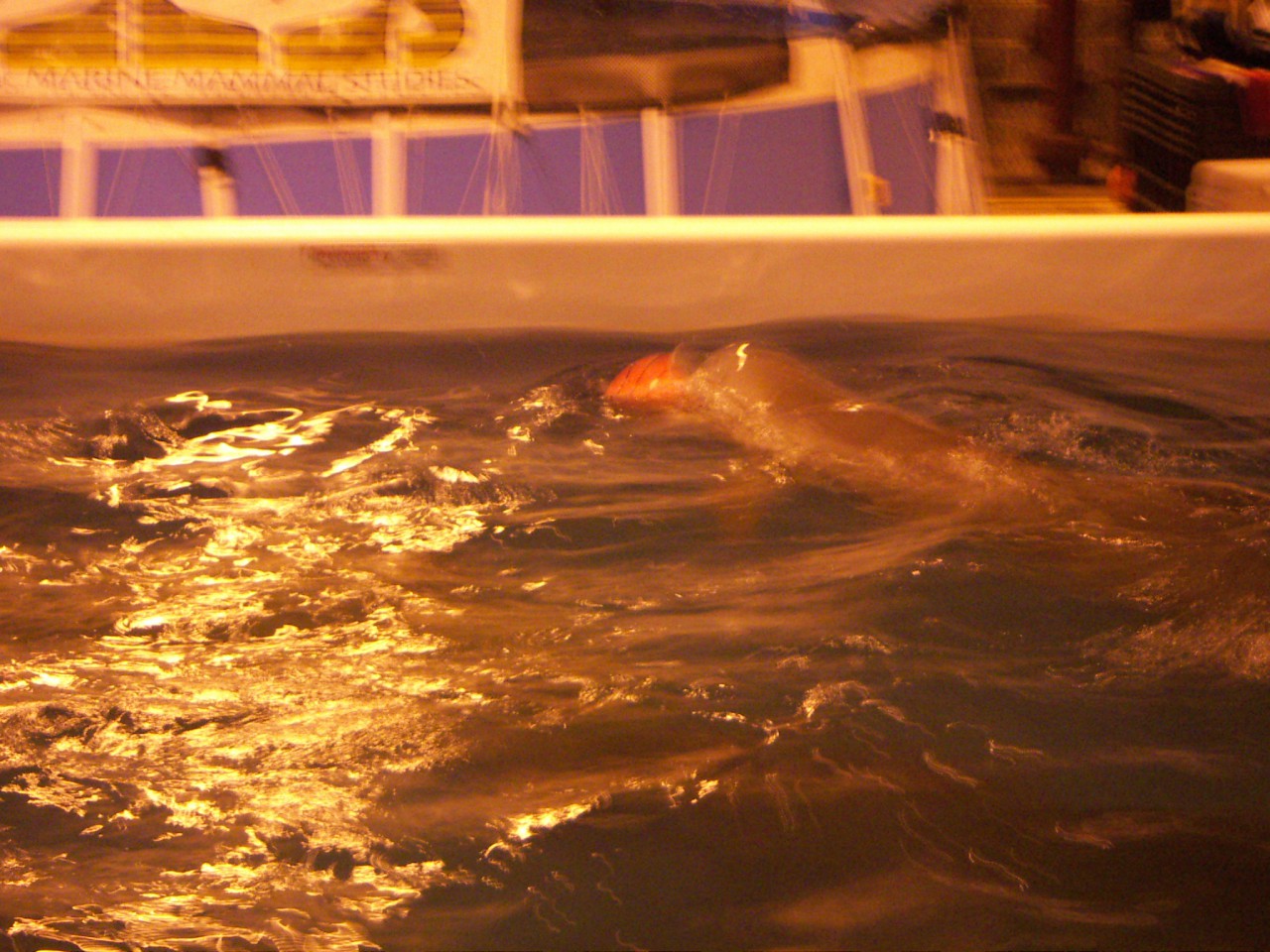 PICT0174.JPG