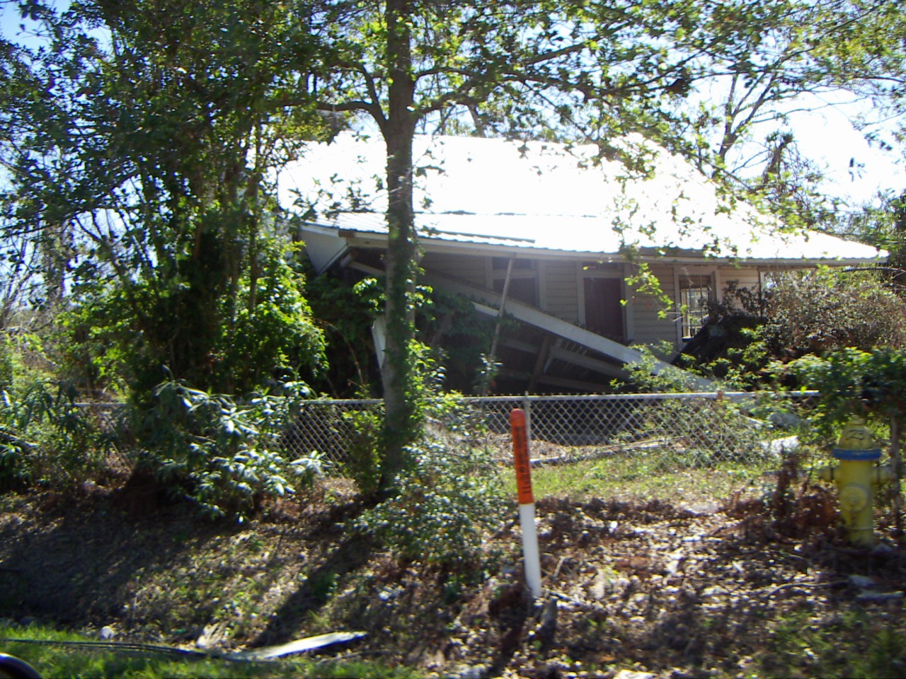 PICT0195.JPG