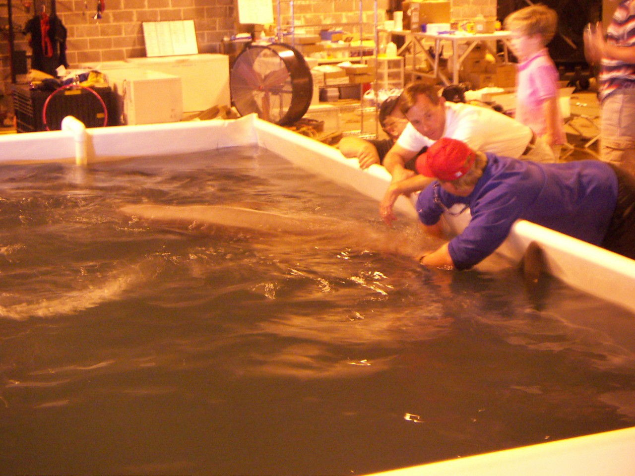 PICT0237.JPG
