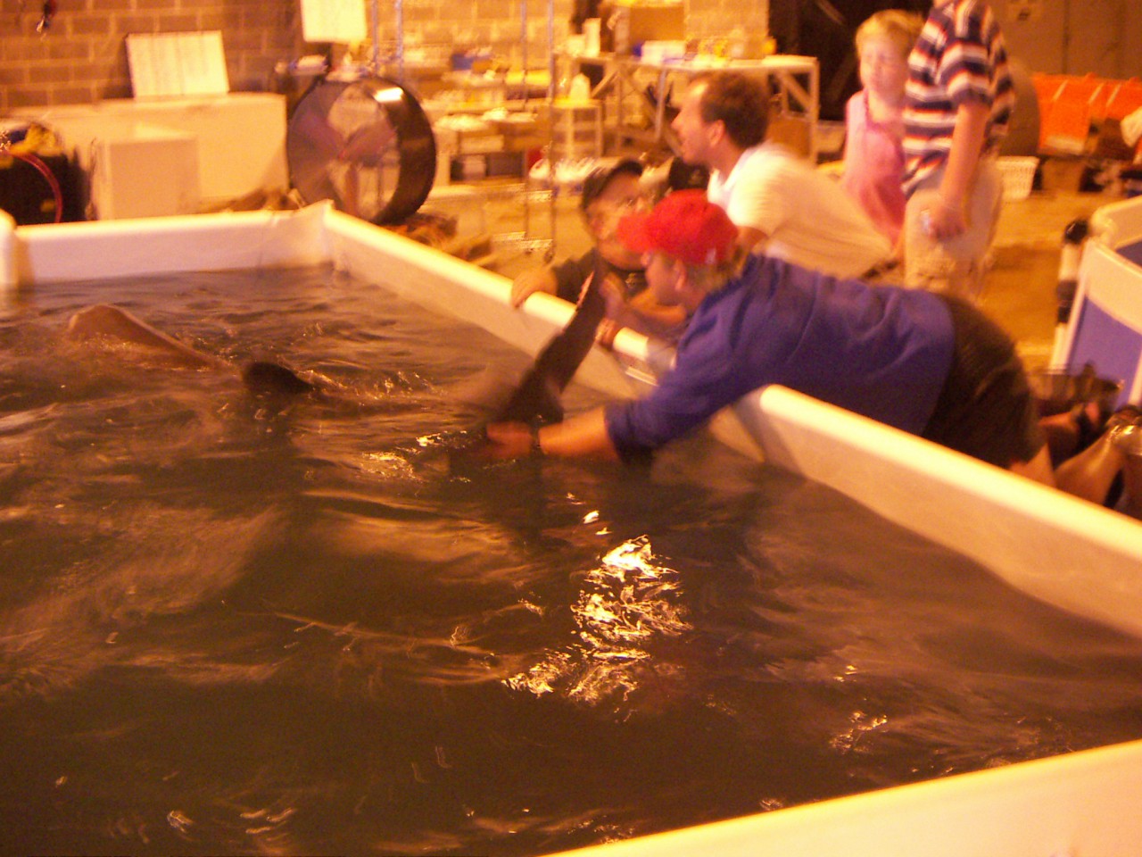 PICT0238.JPG