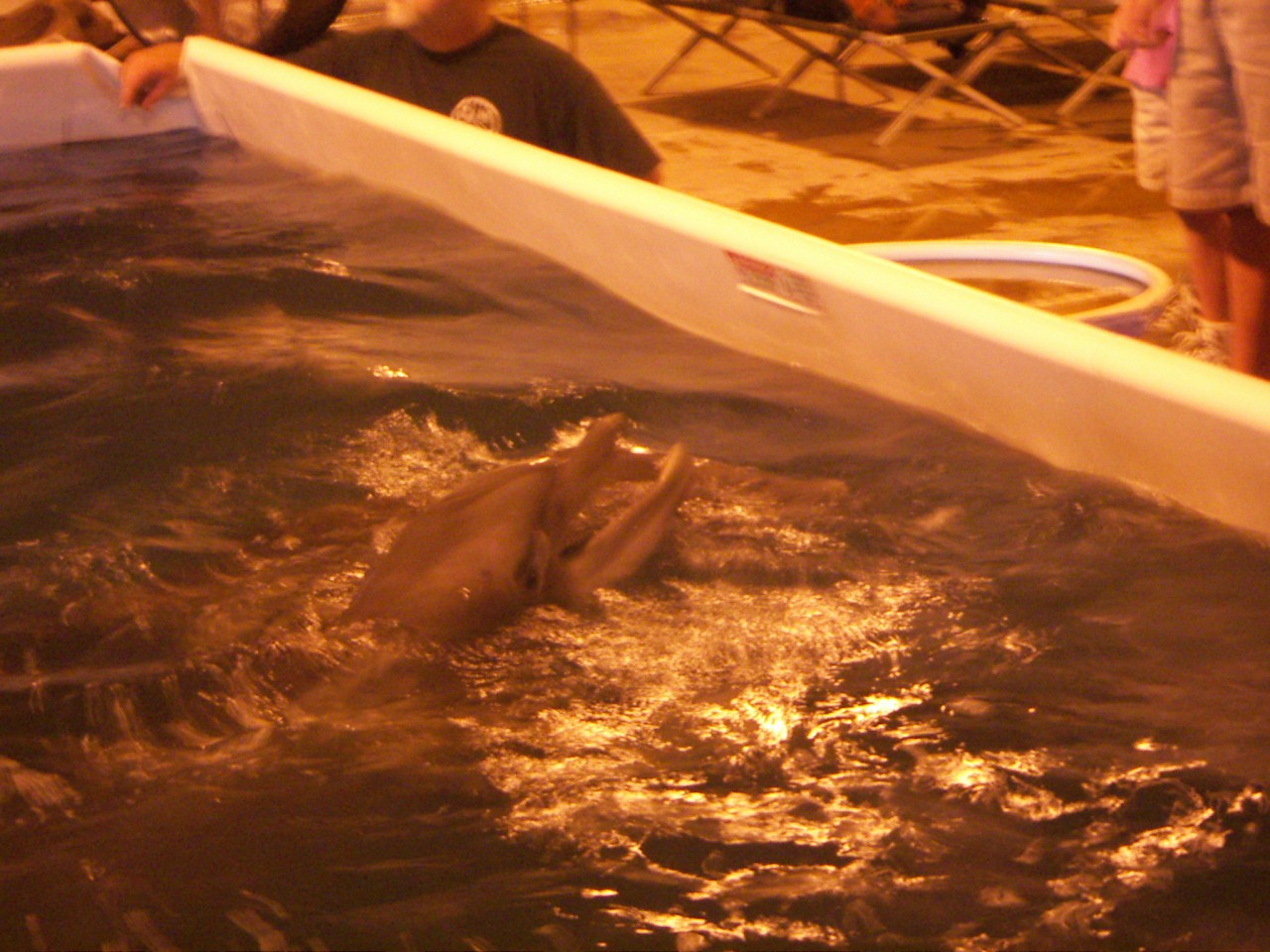PICT0243.JPG