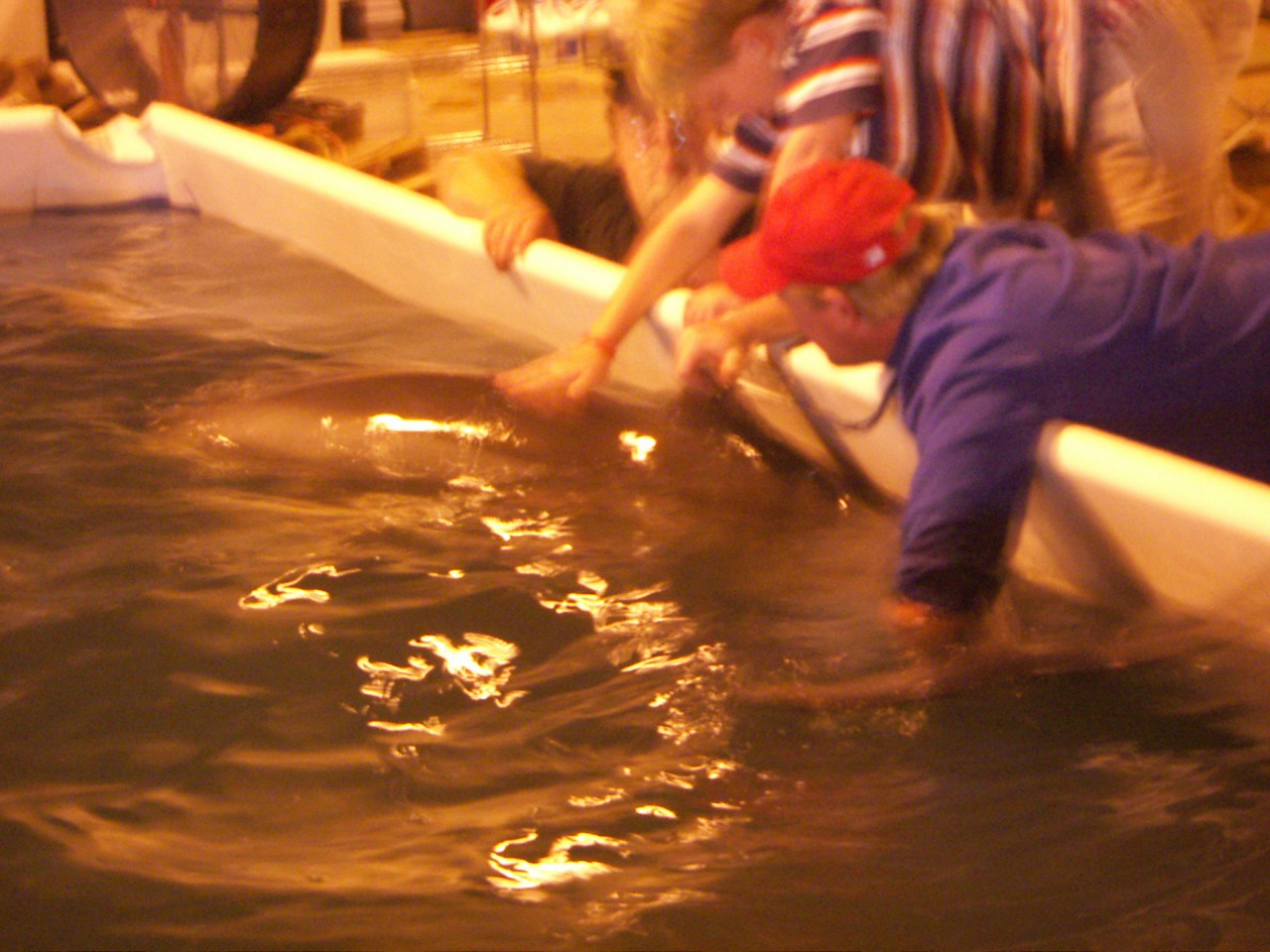 PICT0244.JPG