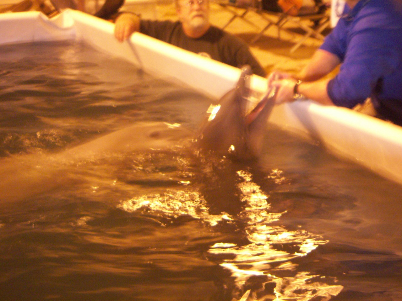 PICT0246.JPG