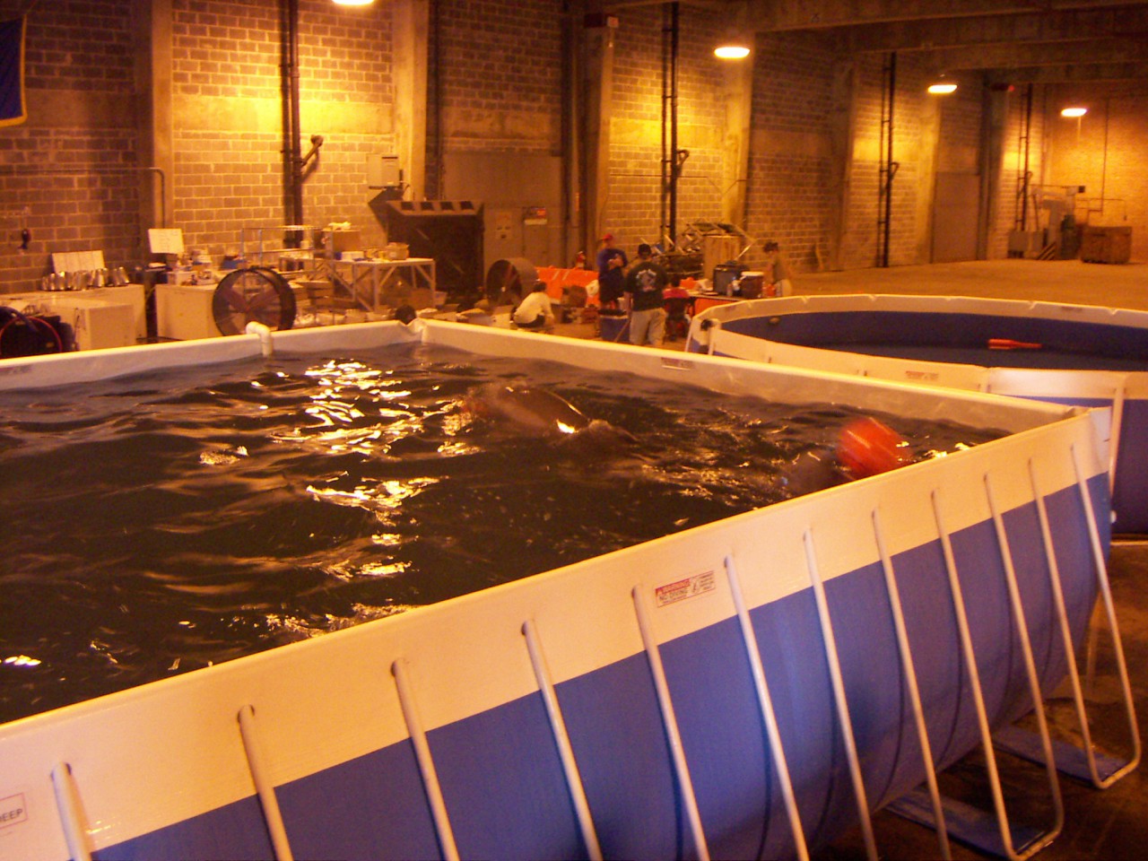 PICT0262.JPG