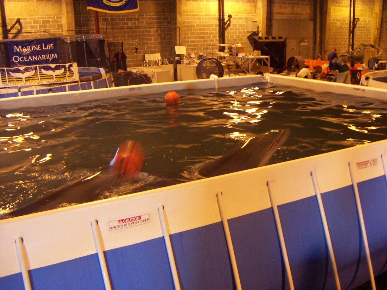 PICT0263.JPG