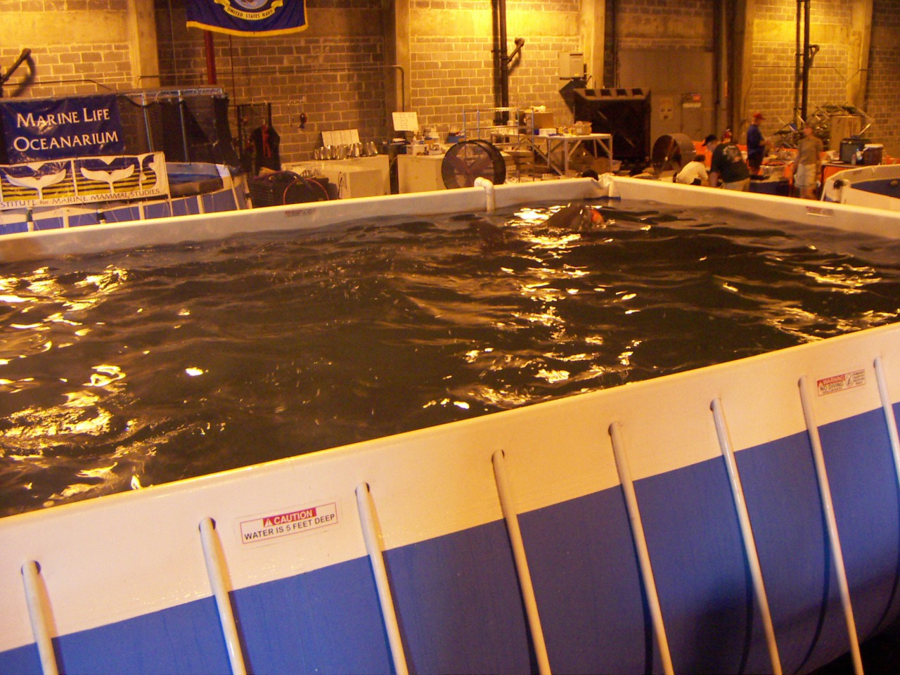 PICT0266.JPG