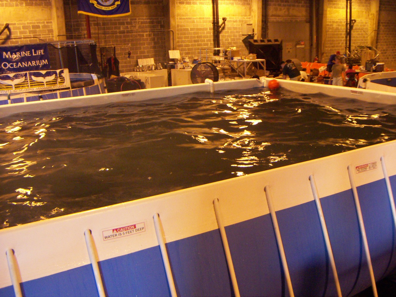 PICT0267.JPG