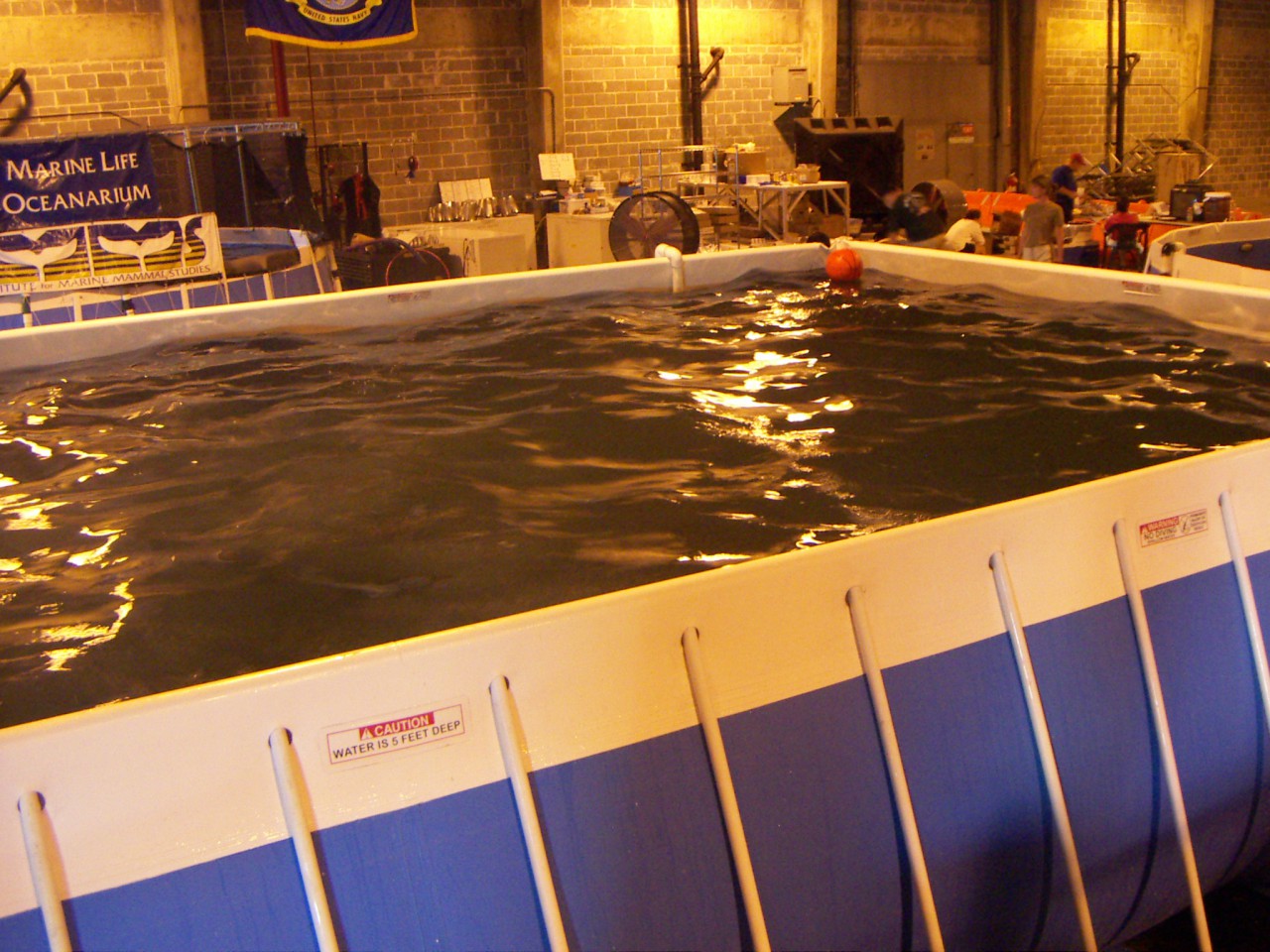 PICT0268.JPG