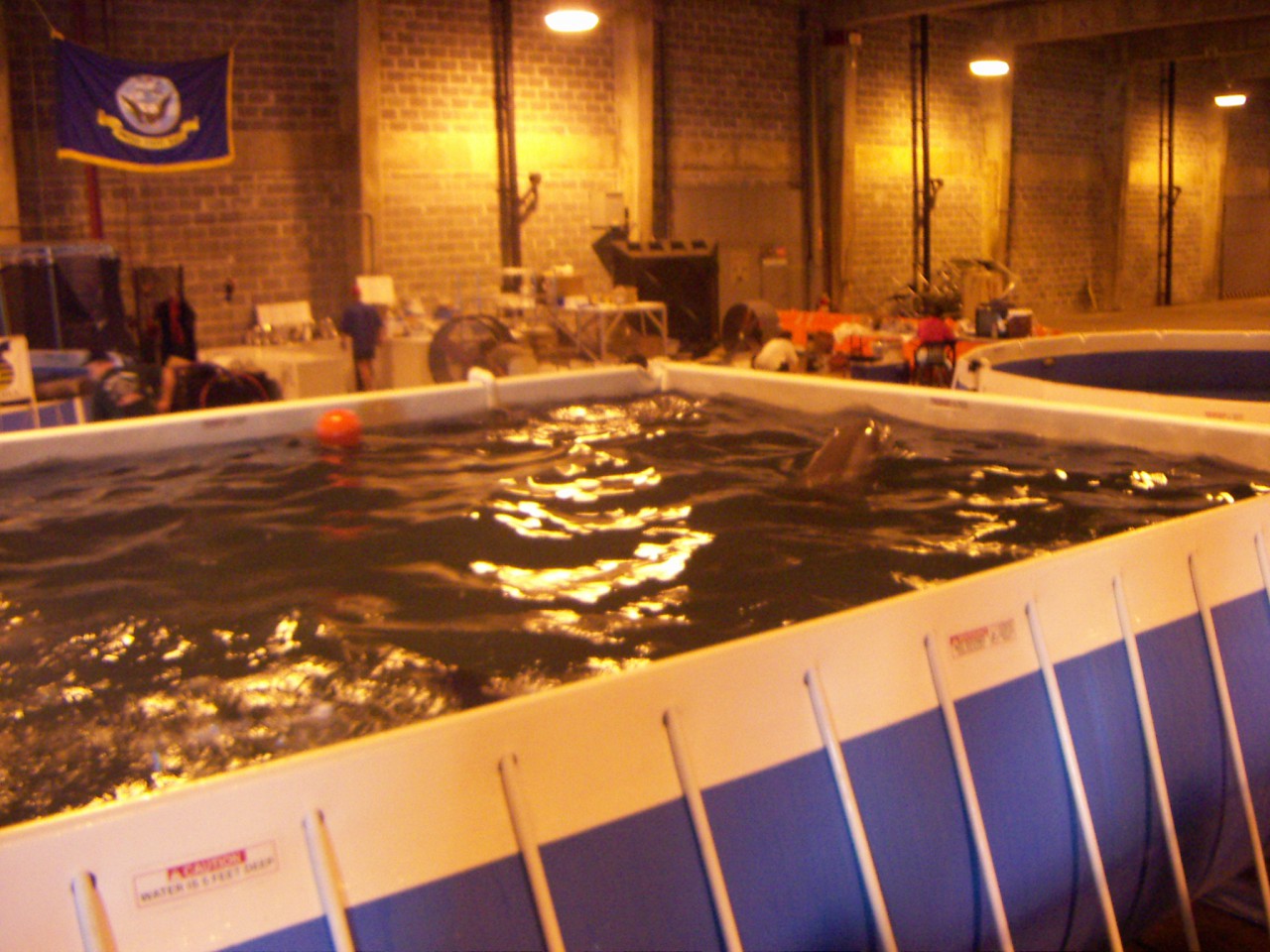 PICT0272.JPG
