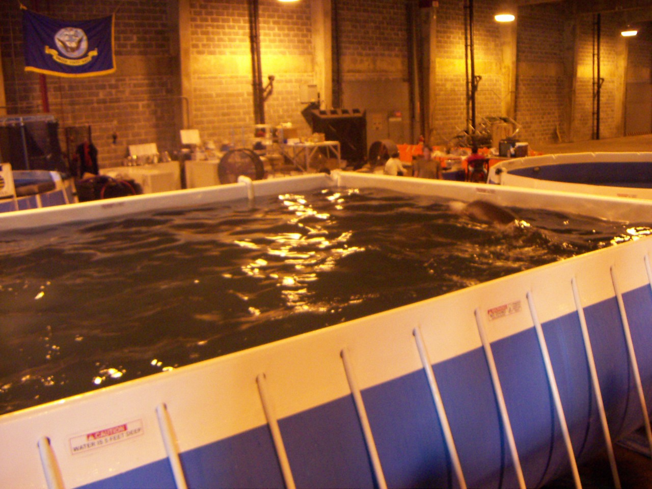 PICT0277.JPG