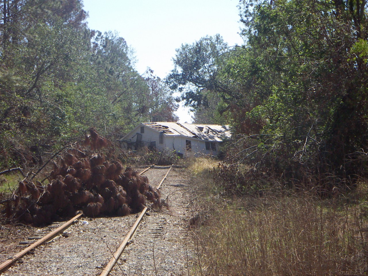 PICT0293.JPG