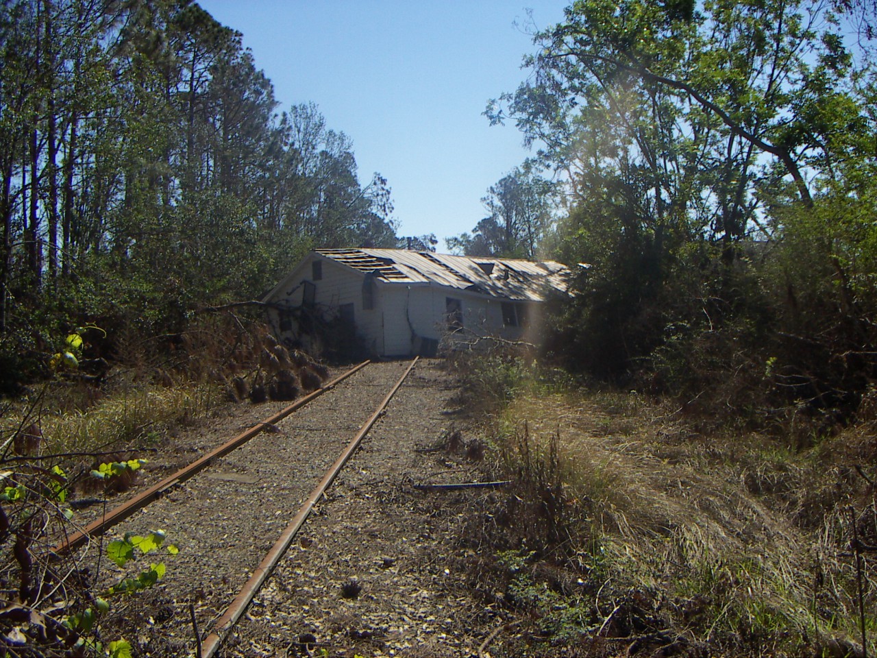 PICT0295.JPG