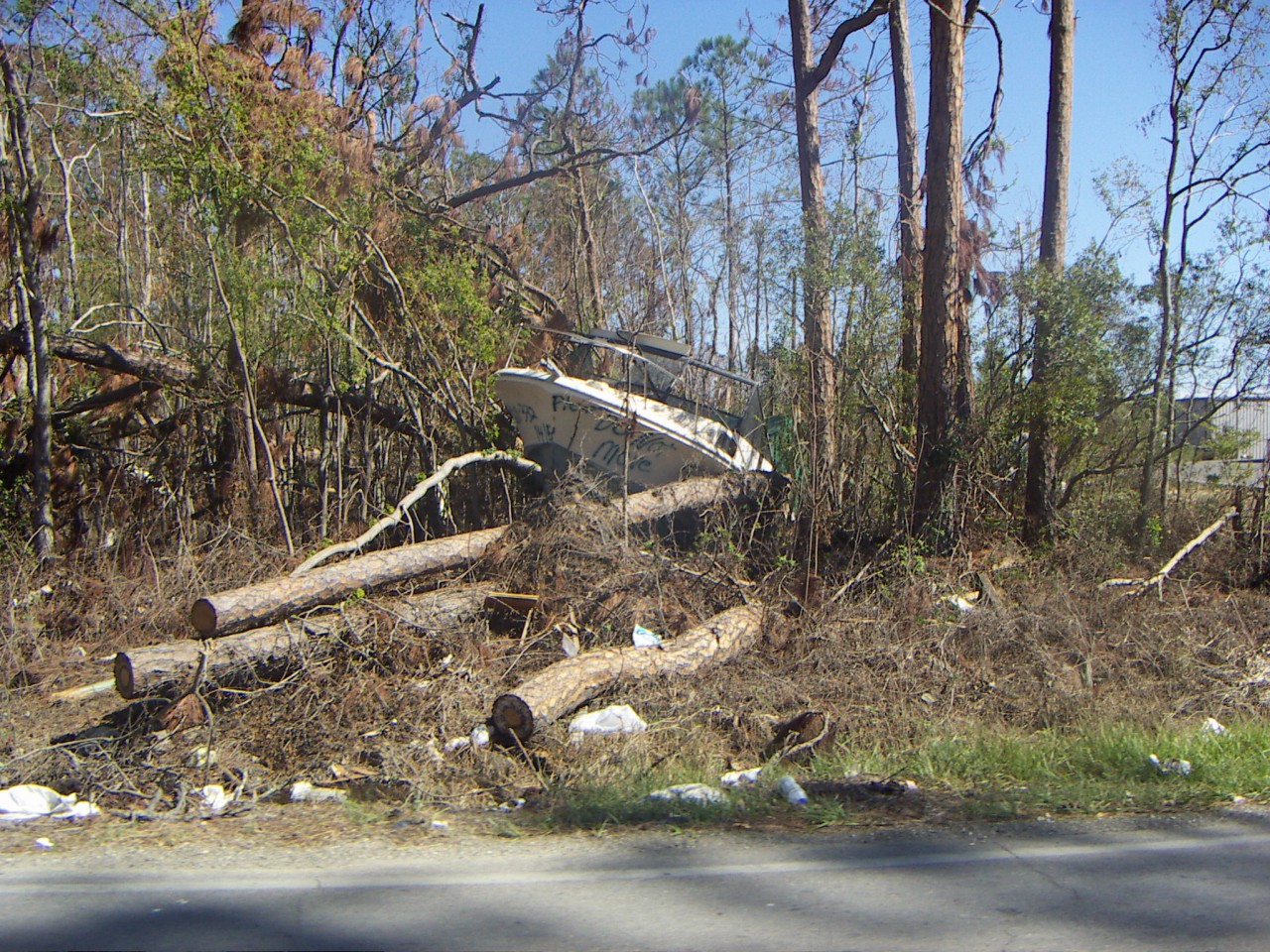 PICT0297.JPG