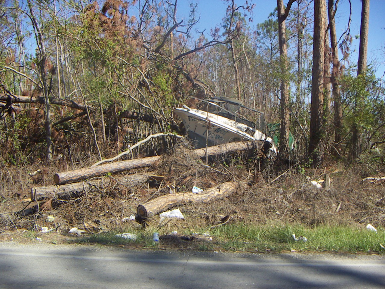 PICT0299.JPG