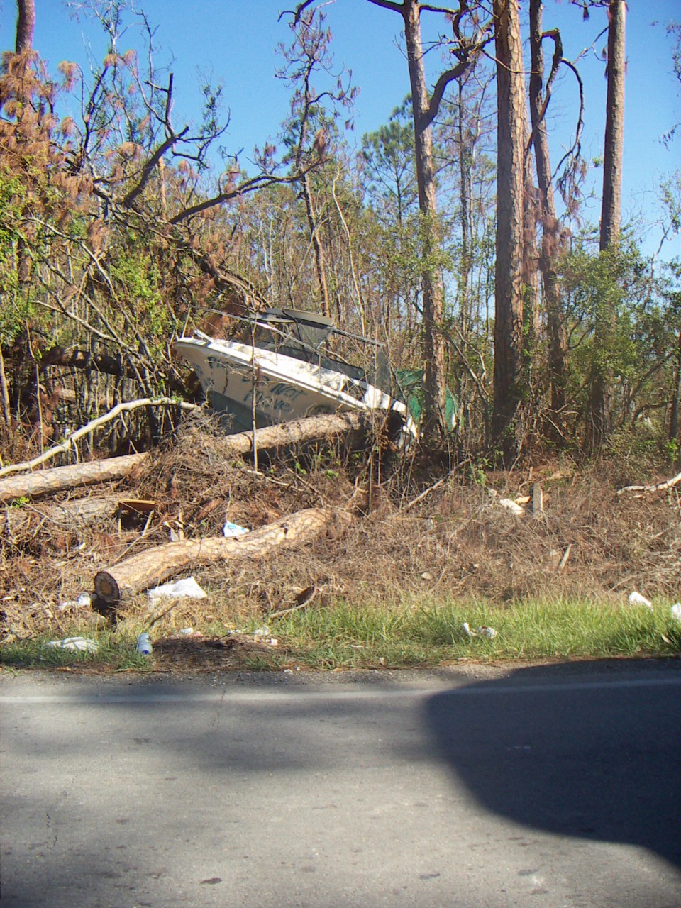 PICT0300.JPG