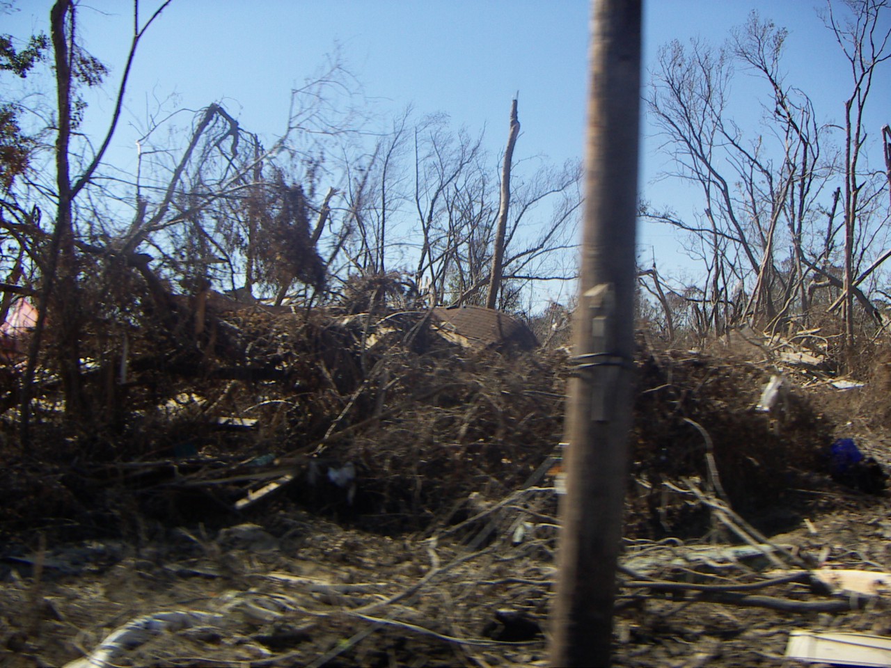 PICT0303.JPG