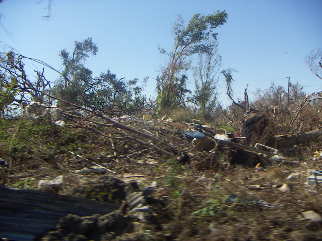 PICT0304.JPG