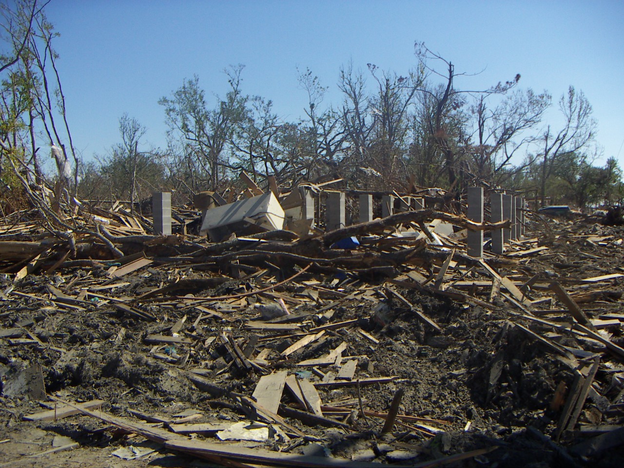 PICT0320.JPG