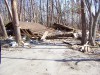 PICT0026.JPG