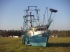 PICT0137.JPG