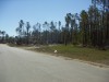 PICT0289.JPG