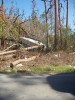 PICT0300.JPG
