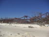 PICT0309.JPG