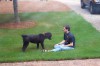 Filename=penny_ball.jpeg
Filesize=290KiB
Dimensions=1280x853
Date added=Jan 24, 2016 penny_ball.jpeg